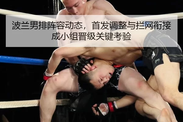 bo-lan-nan-pai-zhen-rong-dong-tai-shou-fa-tiao-zheng-yu-lan-wang-xian-jie-cheng-xiao-zu-jin-ji-guan-jian-kao-yan-3-121.jpg