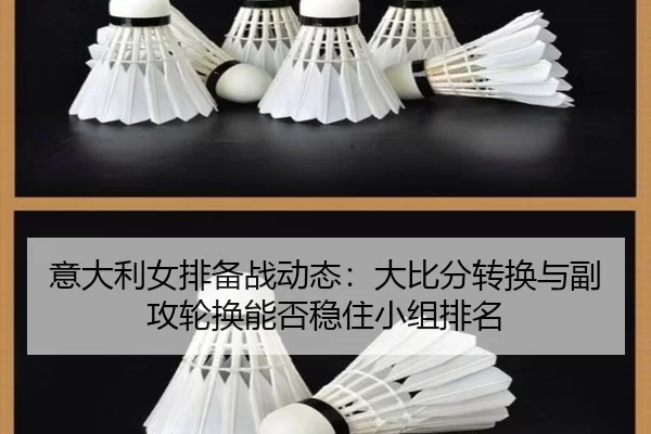 yi-da-li-nv-pai-bei-zhan-dong-tai-da-bi-fen-zhuan-huan-yu-fu-gong-lun-huan-neng-fou-wen-zhu-xiao-zu-pai-ming-4-982.jpg